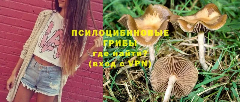 Псилоцибиновые грибы MAGIC MUSHROOMS  MEGA сайт  Югорск  продажа наркотиков 